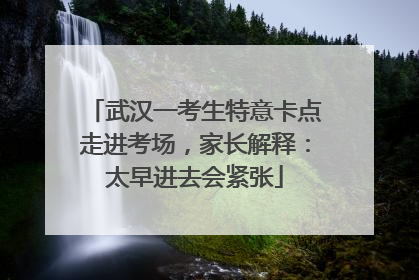 武汉一考生特意卡点走进考场，家长解释：太早进去会紧张