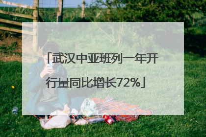 武汉中亚班列一年开行量同比增长72%
