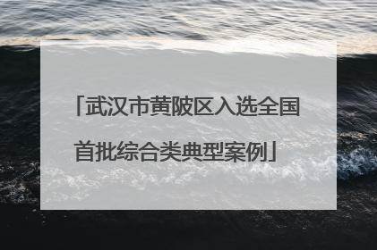 武汉市黄陂区入选全国首批综合类典型案例