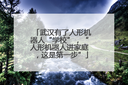 武汉有了人形机器人“学校”，“人形机器人进家庭，这是第一步”