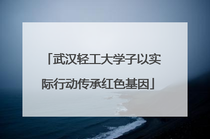 武汉轻工大学子以实际行动传承红色基因