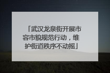 武汉龙泉街开展市容市貌规范行动，维护街道秩序不动摇
