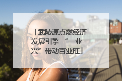 武陵源点燃经济发展引擎 “一业兴”带动百业旺