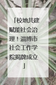 校地共建赋能社会治理！淄博市社会工作学院揭牌成立
