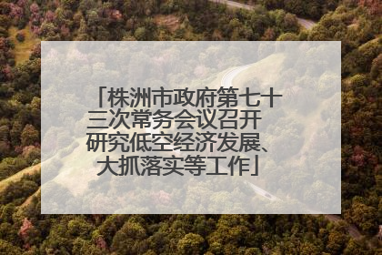 株洲市政府第七十三次常务会议召开 研究低空经济发展、大抓落实等工作