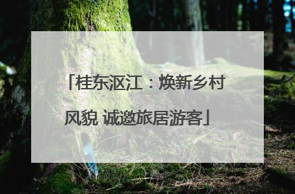 桂东沤江：焕新乡村风貌 诚邀旅居游客