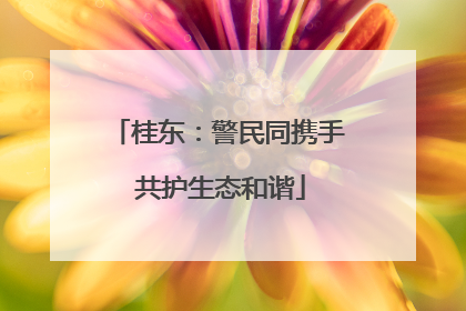 桂东：警民同携手 共护生态和谐