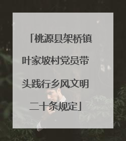 桃源县架桥镇叶家坡村党员带头践行乡风文明二十条规定