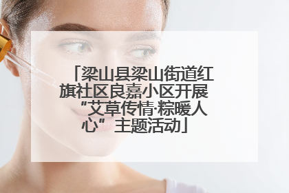 梁山县梁山街道红旗社区良嘉小区开展“艾草传情·粽暖人心”主题活动