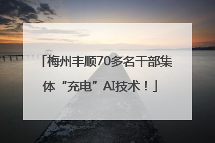 梅州丰顺70多名干部集体“充电”AI技术！