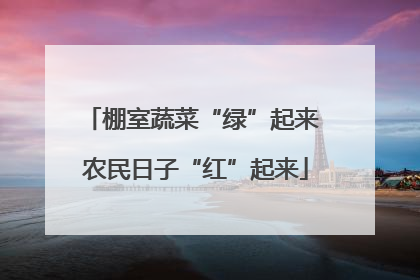 棚室蔬菜“绿”起来 农民日子“红”起来