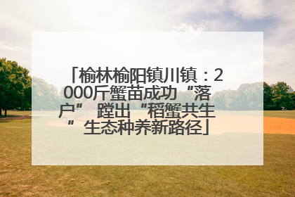榆林榆阳镇川镇：2000斤蟹苗成功“落户” 蹚出“稻蟹共生”生态种养新路径
