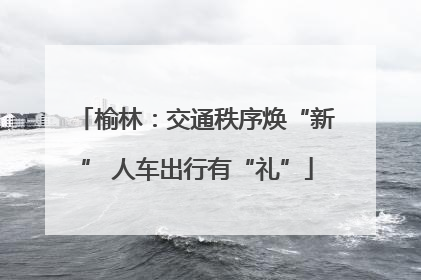 榆林：交通秩序焕“新” 人车出行有“礼”
