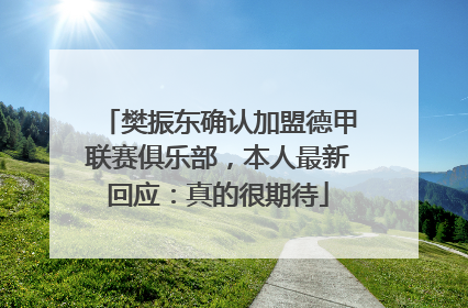 樊振东确认加盟德甲联赛俱乐部，本人最新回应：真的很期待