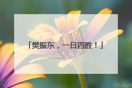 樊振东，一日四胜！