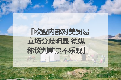 欧盟内部对美贸易立场分歧明显 德媒称谈判前景不乐观