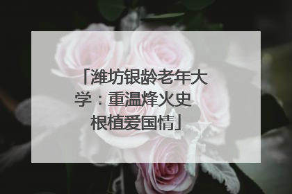 潍坊银龄老年大学：重温烽火史 根植爱国情