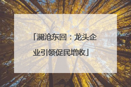 澜沧东回：龙头企业引领促民增收