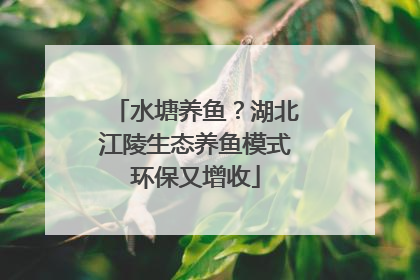 水塘养鱼？湖北江陵生态养鱼模式环保又增收