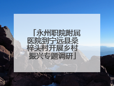 永州职院附属医院到宁远县桑梓头村开展乡村振兴专题调研