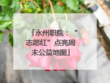 永州职院：“志愿红”点亮周末公益地图