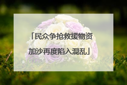 民众争抢救援物资 加沙再度陷入混乱