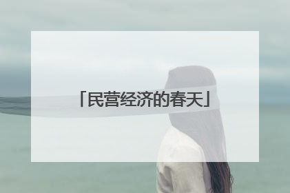 民营经济的春天