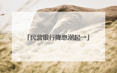 民营银行降息潮起→