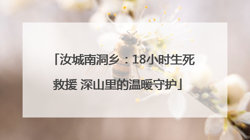 汝城南洞乡：18小时生死救援 深山里的温暖守护