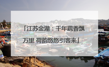 江苏金湖：千年藕香飘万里 荷韵悠悠引客来