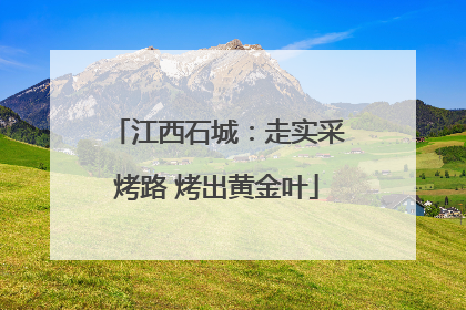 江西石城：走实采烤路 烤出黄金叶