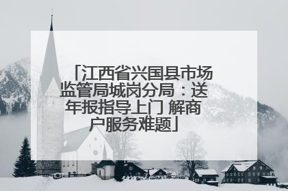 江西省兴国县市场监管局城岗分局：送年报指导上门 解商户服务难题