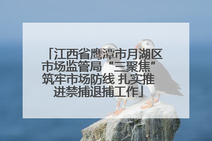 江西省鹰潭市月湖区市场监管局“三聚焦”筑牢市场防线 扎实推进禁捕退捕工作