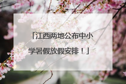 江西两地公布中小学暑假放假安排！