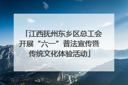 江西抚州东乡区总工会开展“六一”普法宣传暨传统文化体验活动