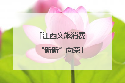 江西文旅消费“新新”向荣