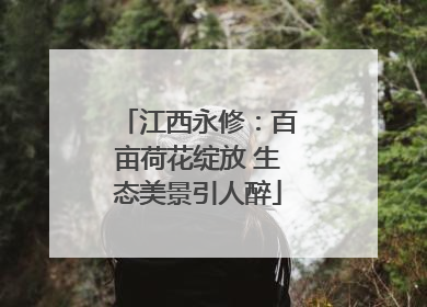 江西永修：百亩荷花绽放 生态美景引人醉