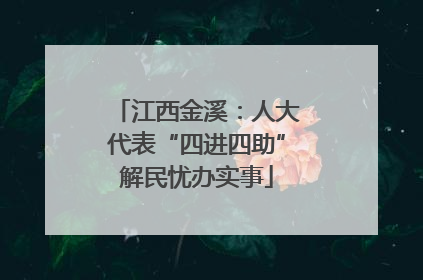 江西金溪：人大代表“四进四助”解民忧办实事