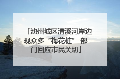 池州城区清溪河岸边现众多“梅花桩” 部门回应市民关切