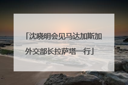 沈晓明会见马达加斯加外交部长拉萨塔一行