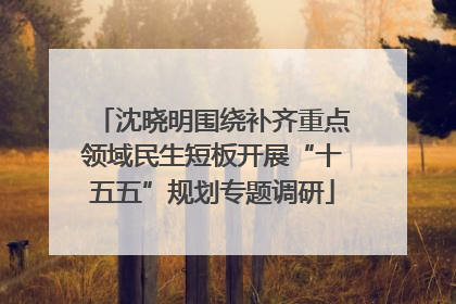 沈晓明围绕补齐重点领域民生短板开展“十五五”规划专题调研