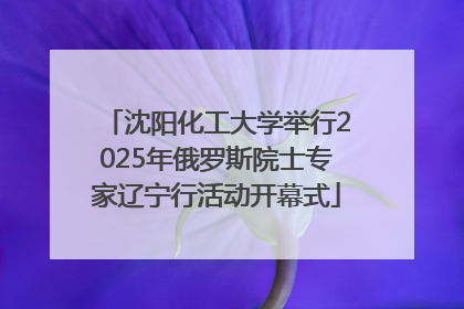 沈阳化工大学举行2025年俄罗斯院士专家辽宁行活动开幕式
