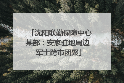沈阳联勤保障中心某部：安家驻地周边 军士跨市团聚