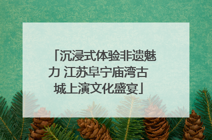 沉浸式体验非遗魅力 江苏阜宁庙湾古城上演文化盛宴