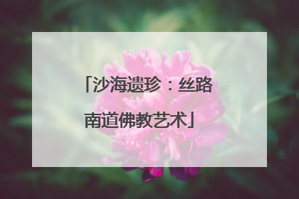 沙海遗珍：丝路南道佛教艺术