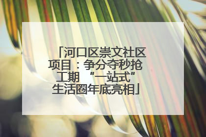 河口区崇文社区项目：争分夺秒抢工期 “一站式”生活圈年底亮相