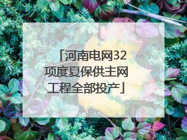 河南电网32项度夏保供主网工程全部投产