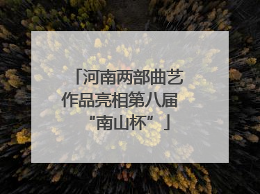 河南两部曲艺作品亮相第八届“南山杯”