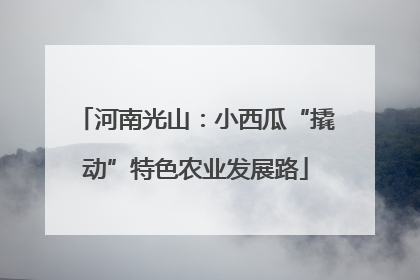 河南光山：小西瓜“撬动”特色农业发展路
