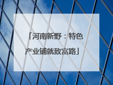 河南新野：特色产业铺就致富路